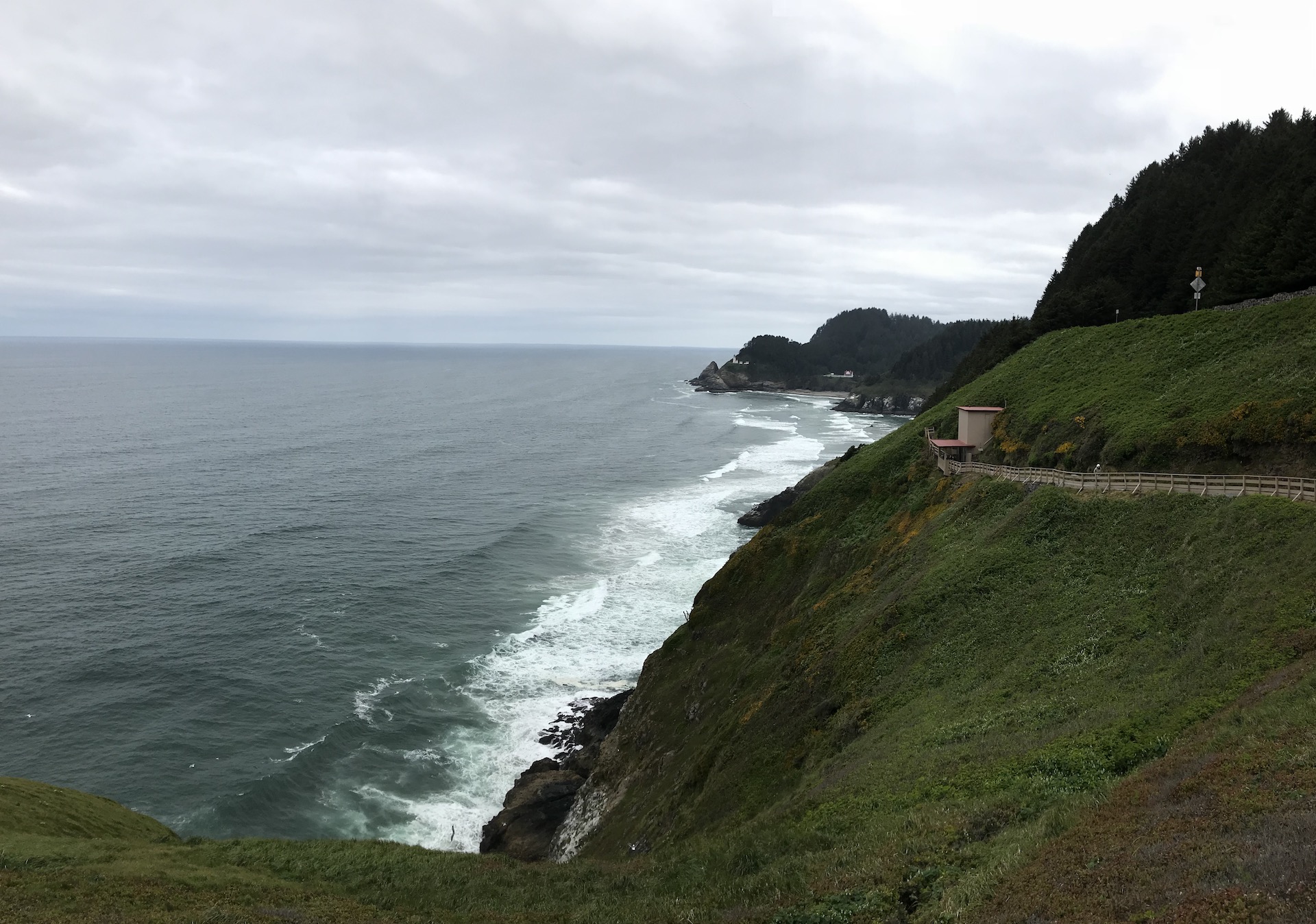 The coast along Heceta Head and the sea lion caves