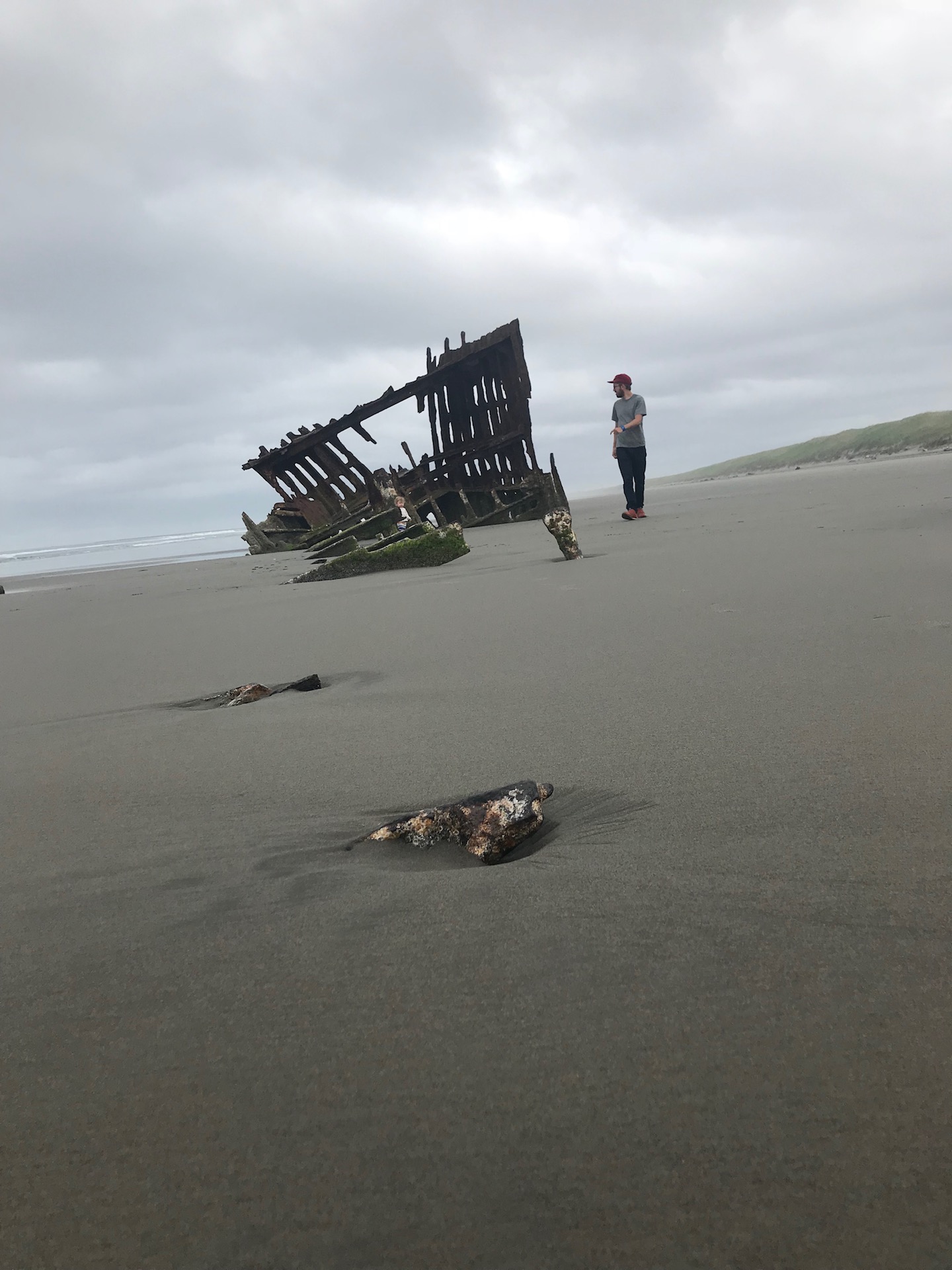 The ship wreckage and remains of the peter iredale