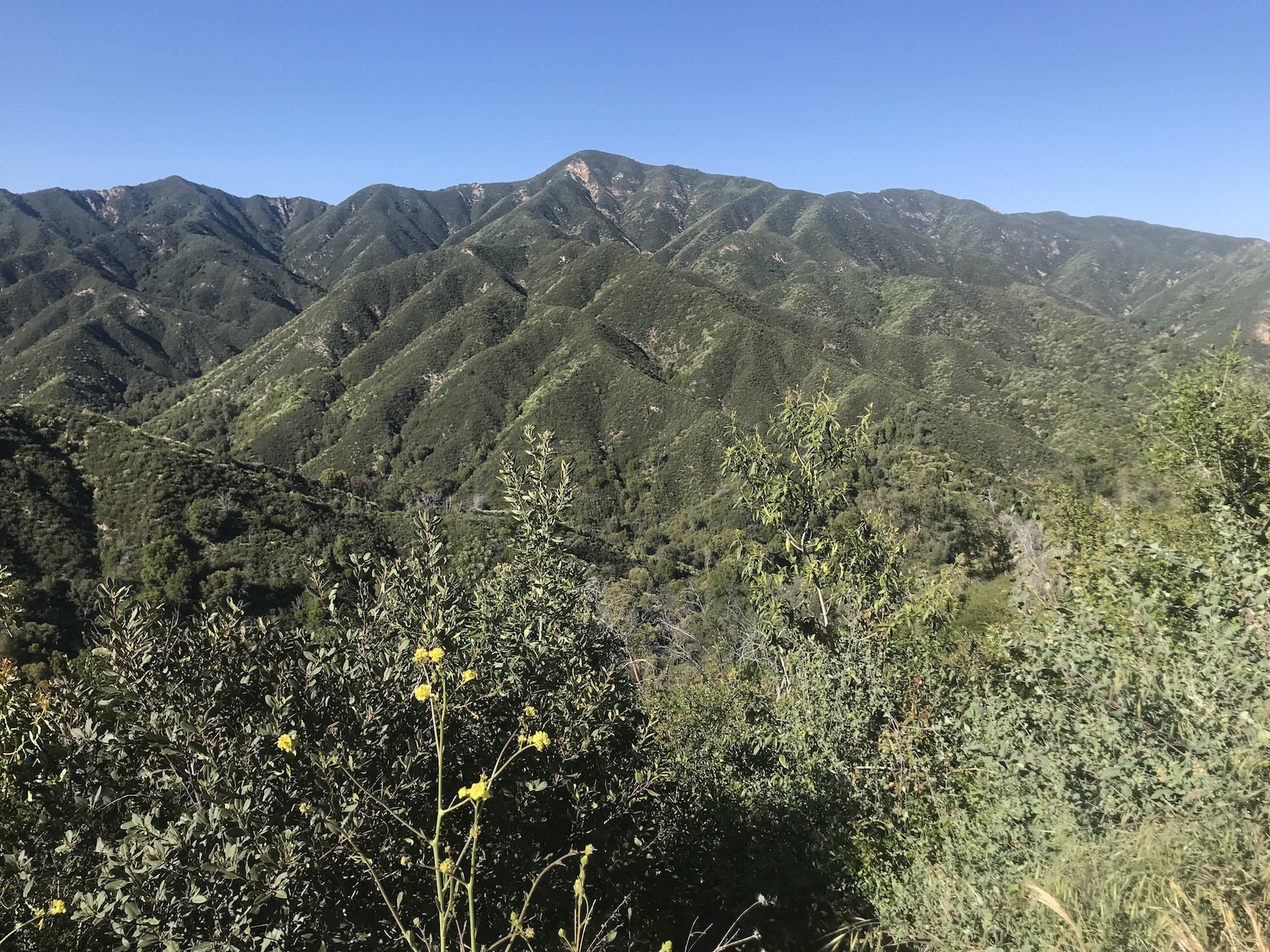 The view along Nacimiento Fergusson road