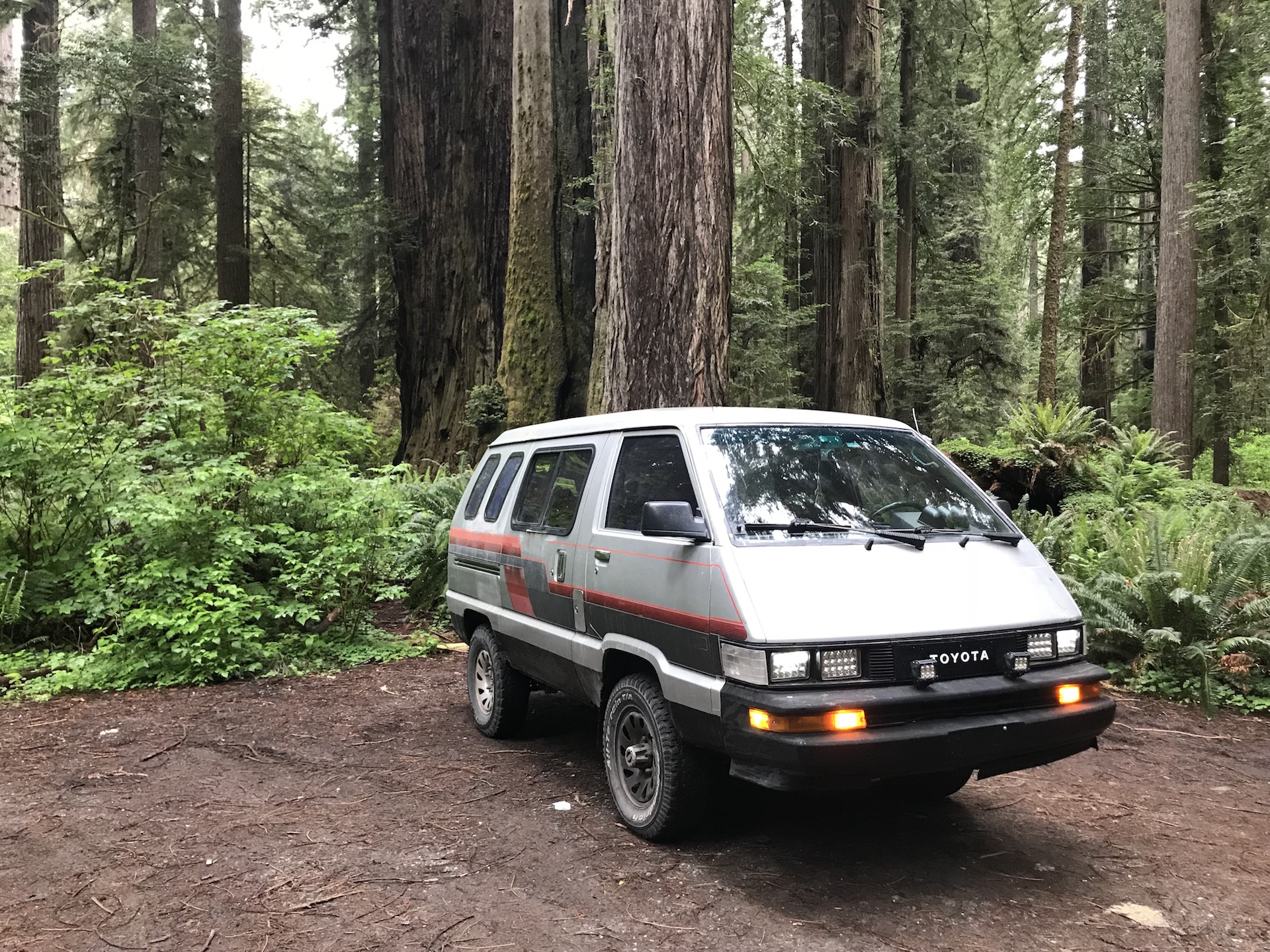 The Van at redwoods state and national parks
